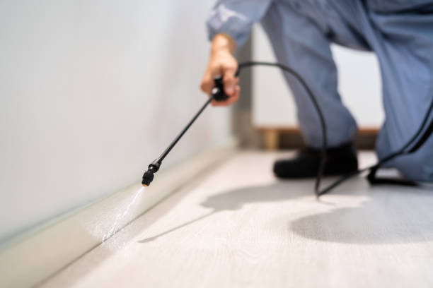 Licensed Exterminator service in Ridge Manor, FL - Show Me Pest Control