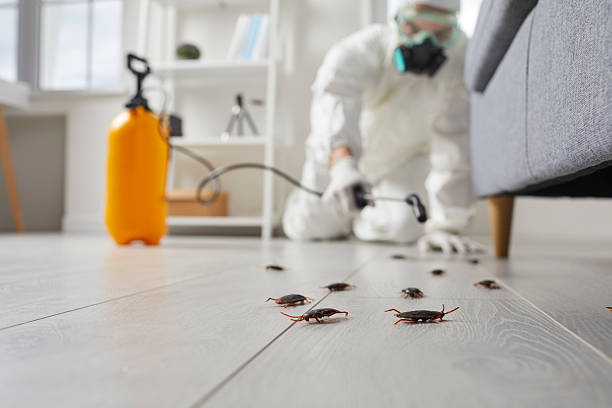 Commercial Rodent Management in Ridge Manor
